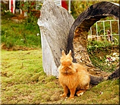 gro&szlig;e Ansicht hier klicken