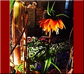 gro&szlig;e Ansicht hier klicken