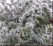 gro&szlig;e Ansicht hier klicken