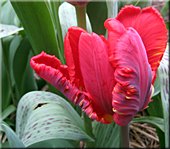 gro&szlig;e Ansicht hier klicken