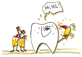 der Zahnspecht